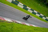 cadwell-no-limits-trackday;cadwell-park;cadwell-park-photographs;cadwell-trackday-photographs;enduro-digital-images;event-digital-images;eventdigitalimages;no-limits-trackdays;peter-wileman-photography;racing-digital-images;trackday-digital-images;trackday-photos
